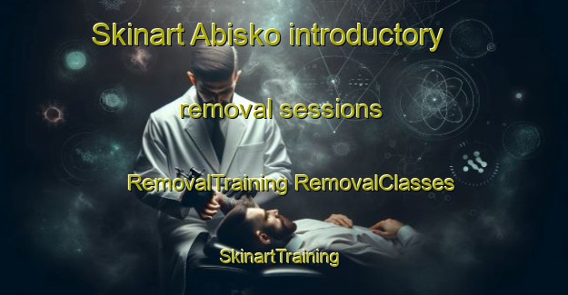 Skinart Abisko introductory removal sessions | #RemovalTraining #RemovalClasses #SkinartTraining-Sweden