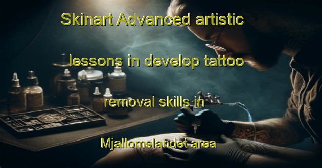 Skinart Advanced artistic lessons in develop tattoo removal skills in Mjallomslandet area | RemovalTraining | RemovalClasses | SkinartTraining-Sweden