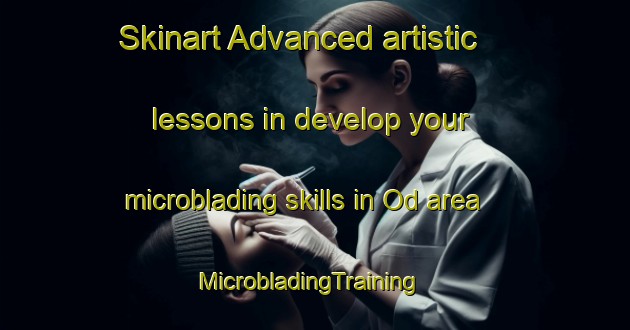 Skinart Advanced artistic lessons in develop your microblading skills in Od area | MicrobladingTraining | MicrobladingClasses | SkinartTraining-Sweden