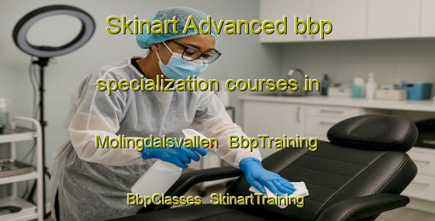 Skinart Advanced bbp specialization courses in Molingdalsvallen | BbpTraining | BbpClasses | SkinartTraining-Sweden