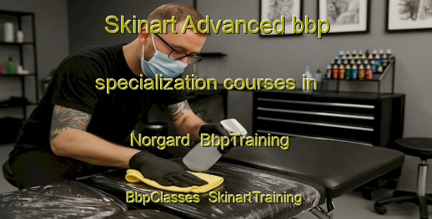 Skinart Advanced bbp specialization courses in Norgard | BbpTraining | BbpClasses | SkinartTraining-Sweden