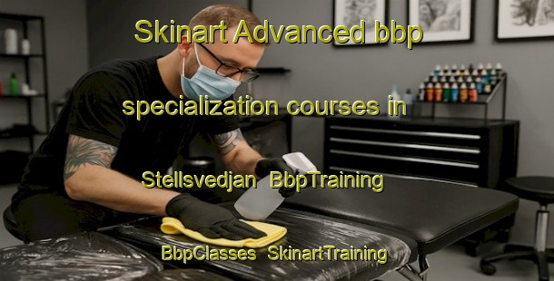 Skinart Advanced bbp specialization courses in Stellsvedjan | BbpTraining | BbpClasses | SkinartTraining-Sweden