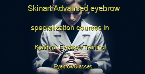 Skinart Advanced eyebrow specialization courses in Kjattorp | EyebrowTraining | EyebrowClasses | SkinartTraining-Sweden