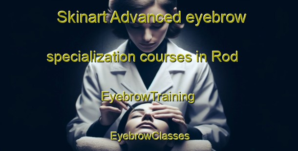 Skinart Advanced eyebrow specialization courses in Rod | EyebrowTraining | EyebrowClasses | SkinartTraining-Sweden