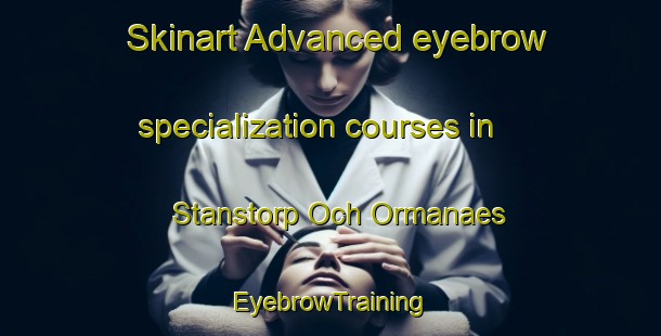 Skinart Advanced eyebrow specialization courses in Stanstorp Och Ormanaes | EyebrowTraining | EyebrowClasses | SkinartTraining-Sweden