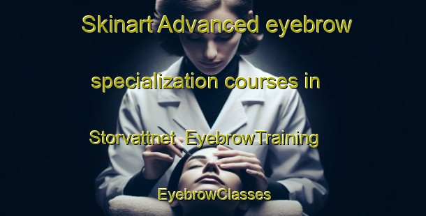 Skinart Advanced eyebrow specialization courses in Storvattnet | EyebrowTraining | EyebrowClasses | SkinartTraining-Sweden