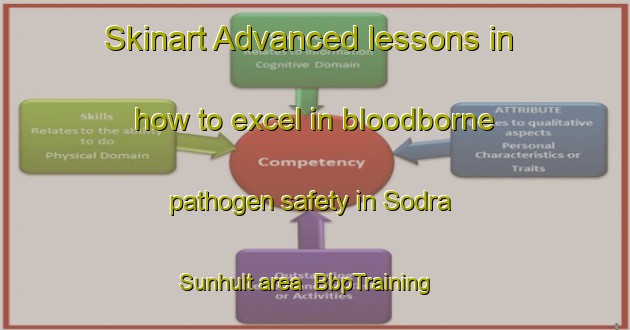 Skinart Advanced lessons in how to excel in bloodborne pathogen safety in Sodra Sunhult area | BbpTraining | BbpClasses | SkinartTraining-Sweden
