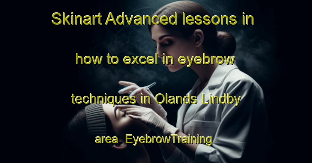 Skinart Advanced lessons in how to excel in eyebrow techniques in Olands Lindby area | EyebrowTraining | EyebrowClasses | SkinartTraining-Sweden