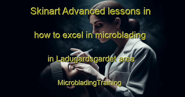 Skinart Advanced lessons in how to excel in microblading in Ladugardsgardet area | MicrobladingTraining | MicrobladingClasses | SkinartTraining-Sweden