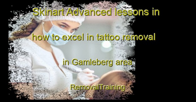 Skinart Advanced lessons in how to excel in tattoo removal in Gamleberg area | RemovalTraining | RemovalClasses | SkinartTraining-Sweden