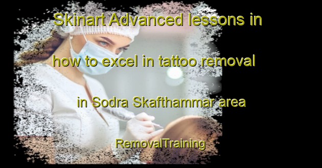Skinart Advanced lessons in how to excel in tattoo removal in Sodra Skafthammar area | RemovalTraining | RemovalClasses | SkinartTraining-Sweden