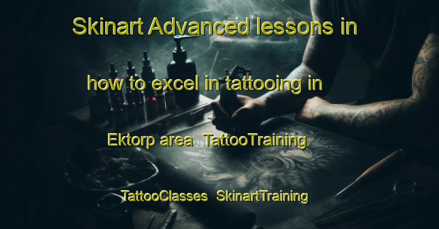 Skinart Advanced lessons in how to excel in tattooing in Ektorp area | TattooTraining | TattooClasses | SkinartTraining-Sweden