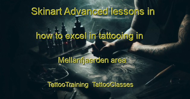 Skinart Advanced lessons in how to excel in tattooing in Mellanfjaerden area | TattooTraining | TattooClasses | SkinartTraining-Sweden