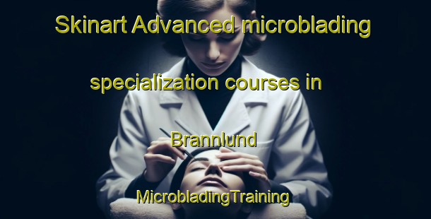 Skinart Advanced microblading specialization courses in Brannlund | #MicrobladingTraining #MicrobladingClasses #SkinartTraining-Sweden