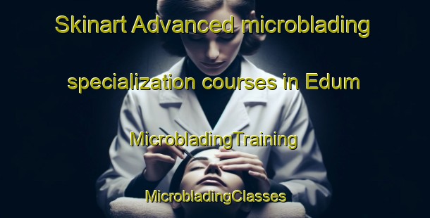 Skinart Advanced microblading specialization courses in Edum | #MicrobladingTraining #MicrobladingClasses #SkinartTraining-Sweden