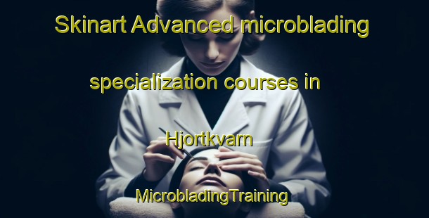 Skinart Advanced microblading specialization courses in Hjortkvarn | #MicrobladingTraining #MicrobladingClasses #SkinartTraining-Sweden