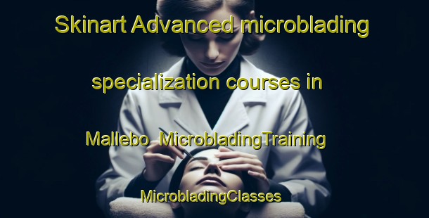 Skinart Advanced microblading specialization courses in Mallebo | MicrobladingTraining | MicrobladingClasses | SkinartTraining-Sweden