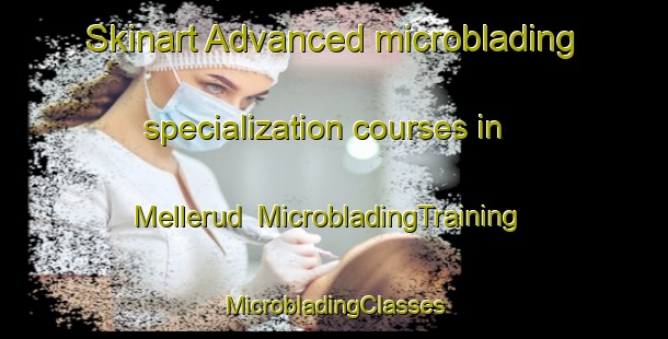 Skinart Advanced microblading specialization courses in Mellerud | #MicrobladingTraining #MicrobladingClasses #SkinartTraining-Sweden