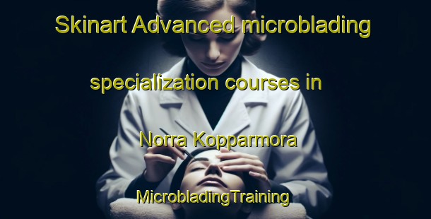 Skinart Advanced microblading specialization courses in Norra Kopparmora | #MicrobladingTraining #MicrobladingClasses #SkinartTraining-Sweden