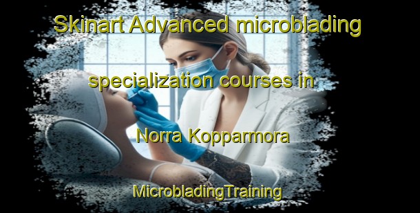 Skinart Advanced microblading specialization courses in Norra Kopparmora | #MicrobladingTraining #MicrobladingClasses #SkinartTraining-Sweden