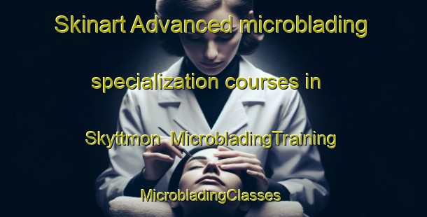 Skinart Advanced microblading specialization courses in Skyttmon | MicrobladingTraining | MicrobladingClasses | SkinartTraining-Sweden