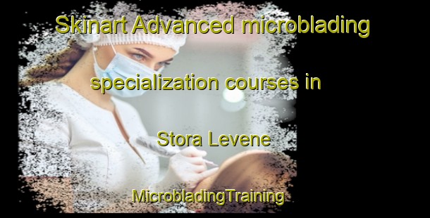 Skinart Advanced microblading specialization courses in Stora Levene | MicrobladingTraining | MicrobladingClasses | SkinartTraining-Sweden