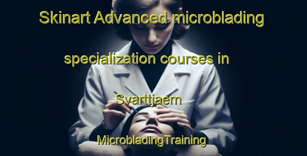 Skinart Advanced microblading specialization courses in Svarttjaern | #MicrobladingTraining #MicrobladingClasses #SkinartTraining-Sweden