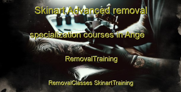 Skinart Advanced removal specialization courses in Ange | #RemovalTraining #RemovalClasses #SkinartTraining-Sweden