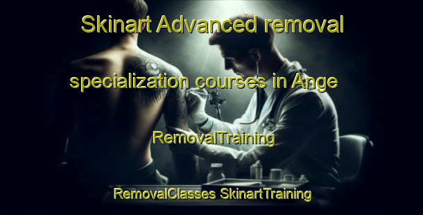 Skinart Advanced removal specialization courses in Ange | #RemovalTraining #RemovalClasses #SkinartTraining-Sweden