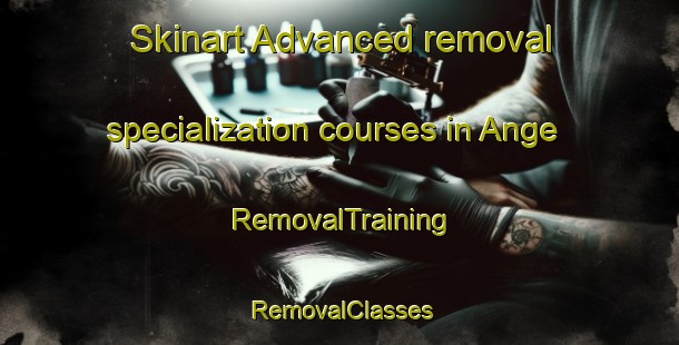 Skinart Advanced removal specialization courses in Ange | RemovalTraining | RemovalClasses | SkinartTraining-Sweden