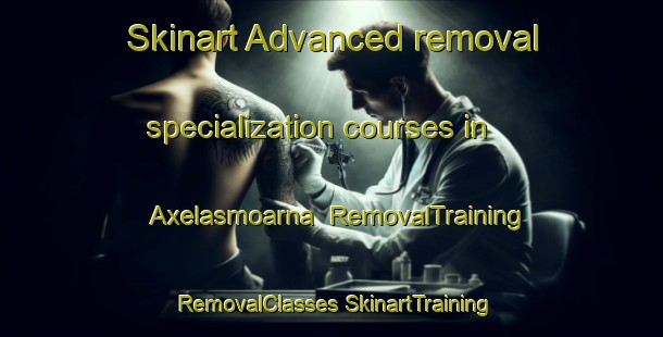 Skinart Advanced removal specialization courses in Axelasmoarna | #RemovalTraining #RemovalClasses #SkinartTraining-Sweden