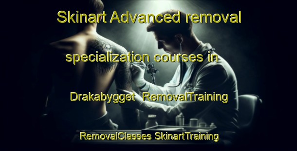 Skinart Advanced removal specialization courses in Drakabygget | #RemovalTraining #RemovalClasses #SkinartTraining-Sweden