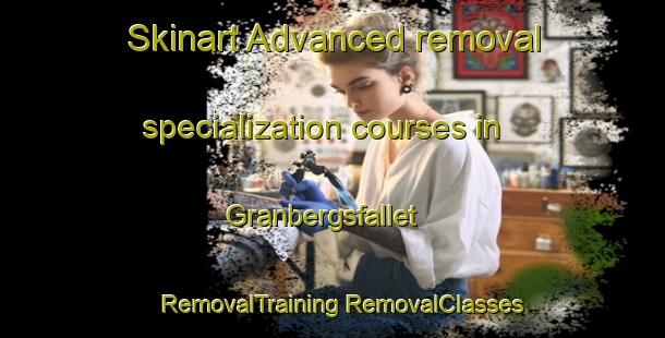 Skinart Advanced removal specialization courses in Granbergsfallet | #RemovalTraining #RemovalClasses #SkinartTraining-Sweden