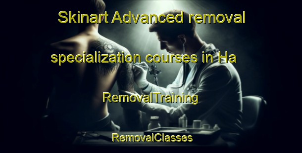 Skinart Advanced removal specialization courses in Ha | RemovalTraining | RemovalClasses | SkinartTraining-Sweden