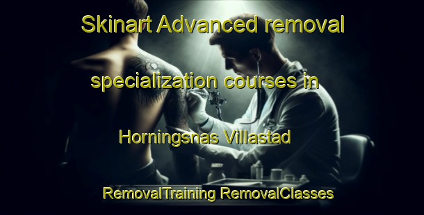 Skinart Advanced removal specialization courses in Horningsnas Villastad | #RemovalTraining #RemovalClasses #SkinartTraining-Sweden