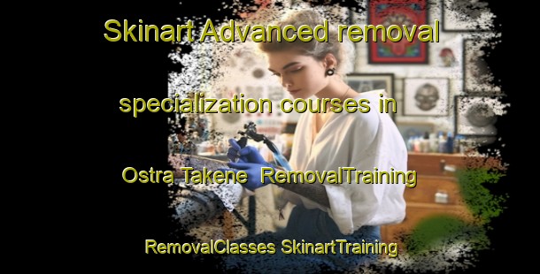 Skinart Advanced removal specialization courses in Ostra Takene | #RemovalTraining #RemovalClasses #SkinartTraining-Sweden