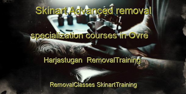 Skinart Advanced removal specialization courses in Ovre Harjastugan | #RemovalTraining #RemovalClasses #SkinartTraining-Sweden