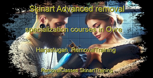 Skinart Advanced removal specialization courses in Ovre Harjastugan | #RemovalTraining #RemovalClasses #SkinartTraining-Sweden