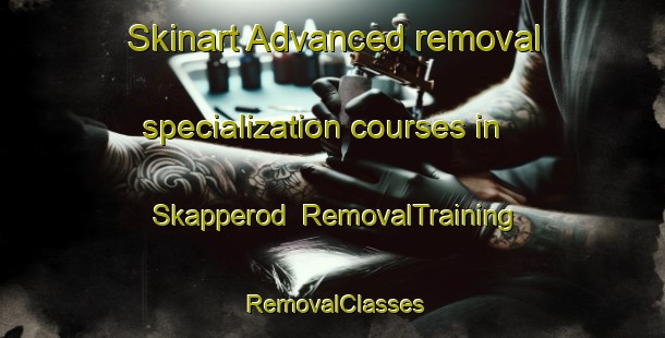 Skinart Advanced removal specialization courses in Skapperod | RemovalTraining | RemovalClasses | SkinartTraining-Sweden