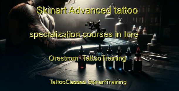 Skinart Advanced tattoo specialization courses in Inre Orestrom | #TattooTraining #TattooClasses #SkinartTraining-Sweden