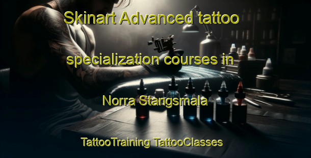 Skinart Advanced tattoo specialization courses in Norra Stangsmala | #TattooTraining #TattooClasses #SkinartTraining-Sweden