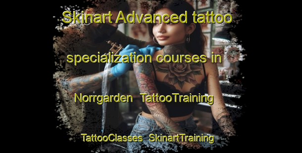 Skinart Advanced tattoo specialization courses in Norrgarden | TattooTraining | TattooClasses | SkinartTraining-Sweden