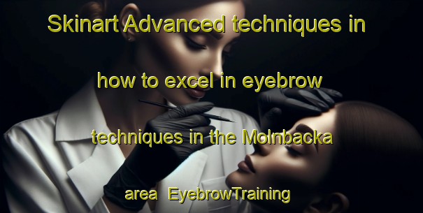 Skinart Advanced techniques in how to excel in eyebrow techniques in the Molnbacka area | EyebrowTraining | EyebrowClasses | SkinartTraining-Sweden