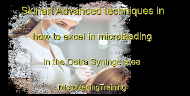 Skinart Advanced techniques in how to excel in microblading in the Ostra Syninge area | MicrobladingTraining | MicrobladingClasses | SkinartTraining-Sweden