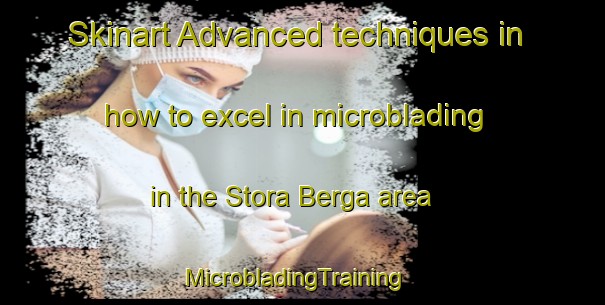 Skinart Advanced techniques in how to excel in microblading in the Stora Berga area | MicrobladingTraining | MicrobladingClasses | SkinartTraining-Sweden