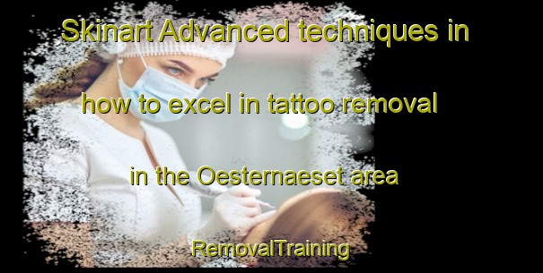 Skinart Advanced techniques in how to excel in tattoo removal in the Oesternaeset area | RemovalTraining | RemovalClasses | SkinartTraining-Sweden