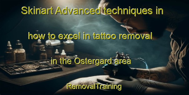 Skinart Advanced techniques in how to excel in tattoo removal in the Ostergard area | RemovalTraining | RemovalClasses | SkinartTraining-Sweden