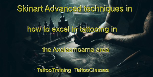 Skinart Advanced techniques in how to excel in tattooing in the Axelasmoarna area | TattooTraining | TattooClasses | SkinartTraining-Sweden
