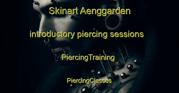 Skinart Aenggarden introductory piercing sessions | #PiercingTraining #PiercingClasses #SkinartTraining-Sweden