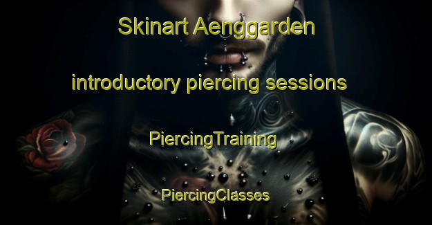 Skinart Aenggarden introductory piercing sessions | #PiercingTraining #PiercingClasses #SkinartTraining-Sweden